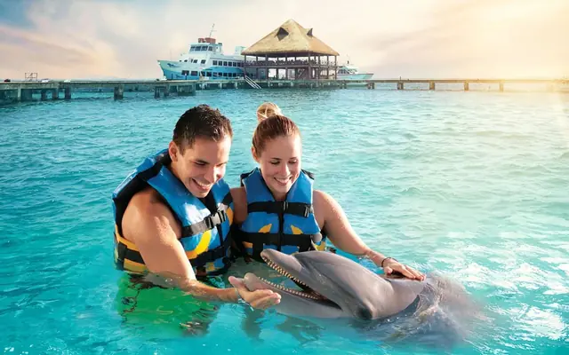 Encuentro con delfines en Playa Maroma + acceso al club de playa