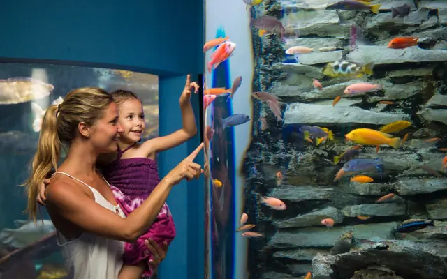 Acuario Interactivo de Cancún
