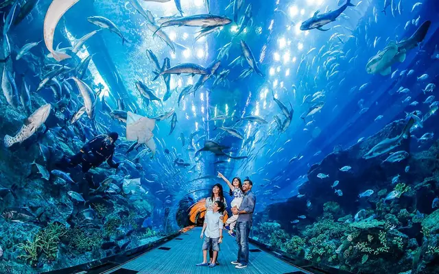 Acquario di Dubai e zoo sottomarino