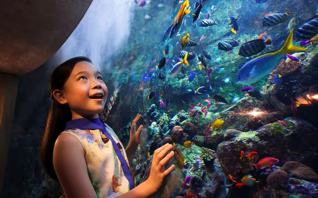 Lost Chambers Aquarium all'Atlantis The Palm Dubai