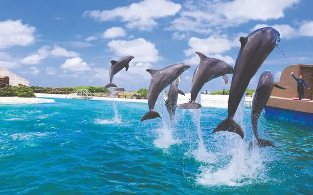 Sea Life Park Hawaii