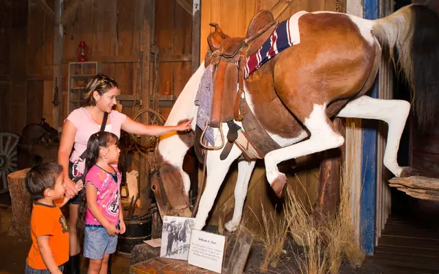 Buckhorn Saloon and Texas Ranger Museum
