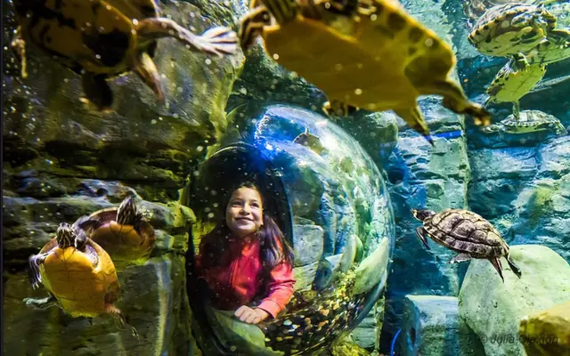 SEA LIFE San Antonio