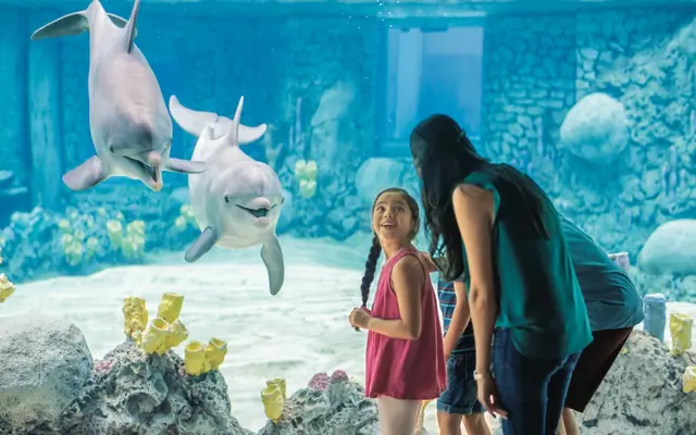 SeaWorld® San Antonio
