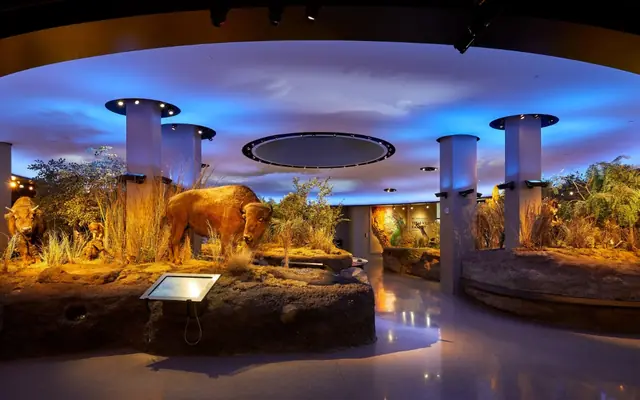 The Witte Museum