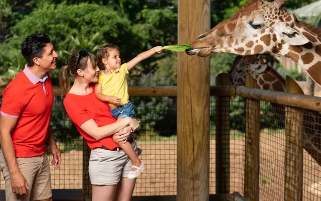 San Antonio Zoo